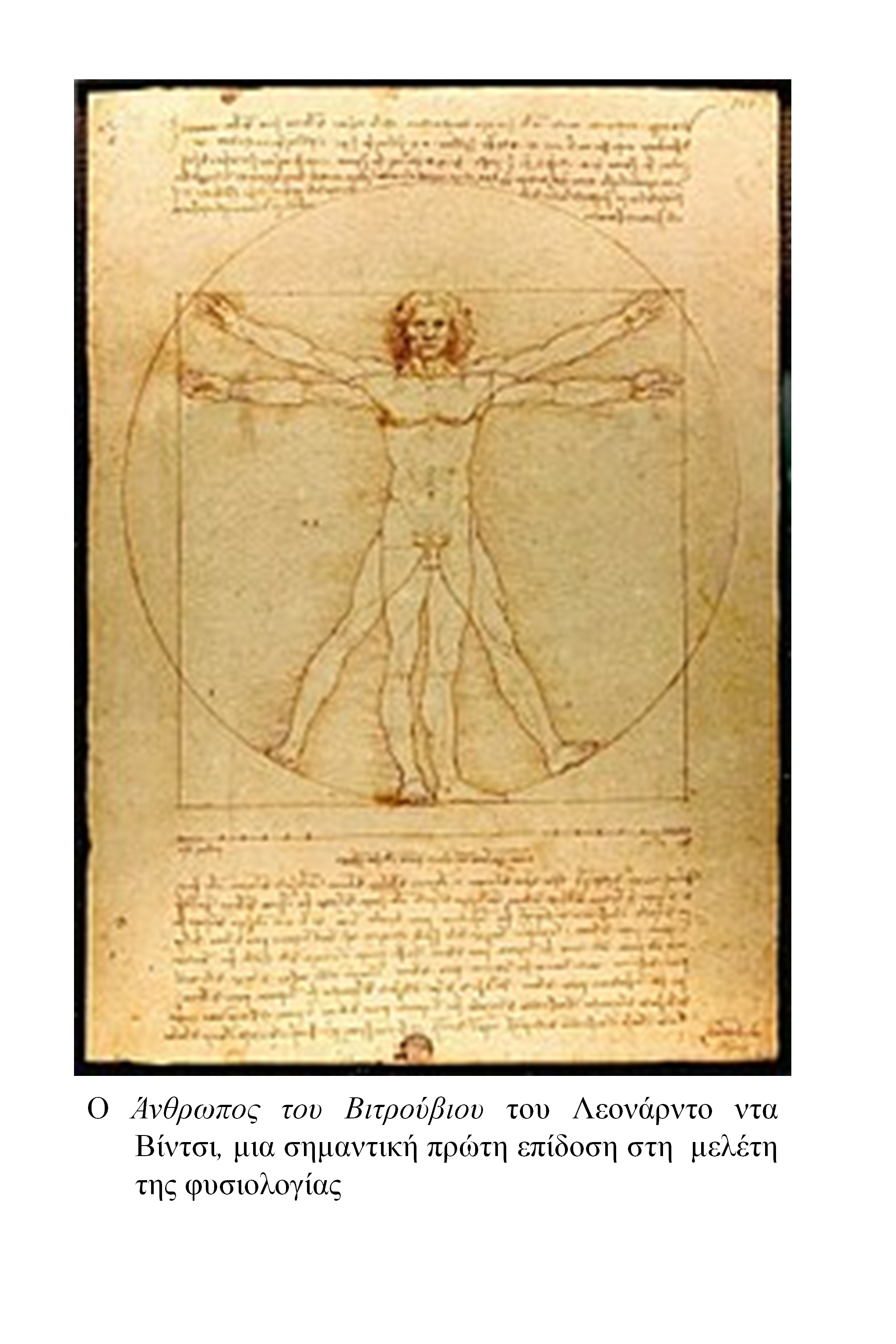 Εικόνα επιλογής